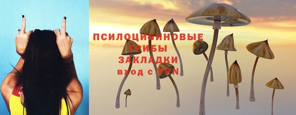 хмурый Белая Холуница