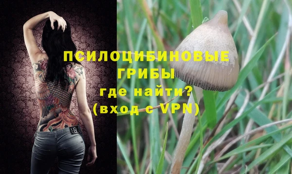 прущие крисы Новозыбков