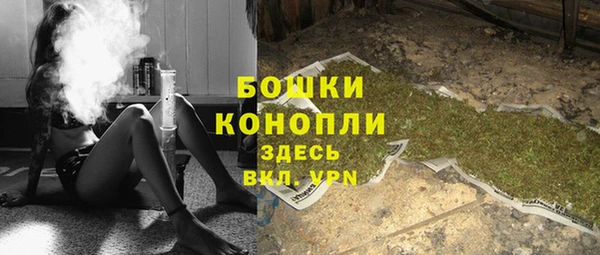 прущие крисы Новозыбков