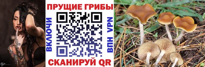 Псилоцибиновые грибы MAGIC MUSHROOMS  Балаково 