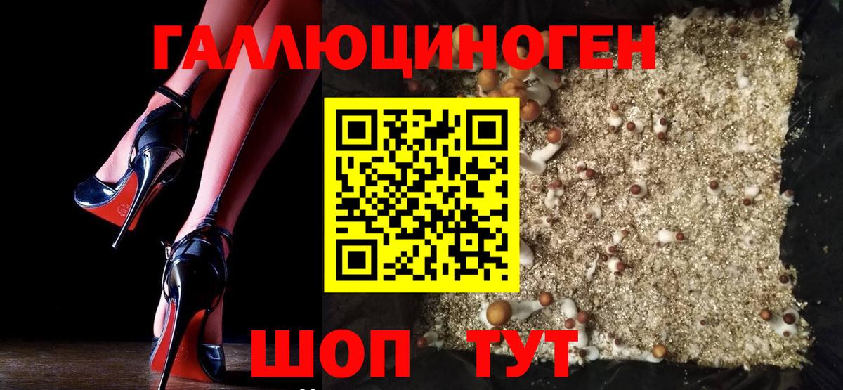 сколько стоит  Галлюциногенные грибы GOLDEN TEACHER  Балаково  Галлюциногенные грибы Psilocybe 