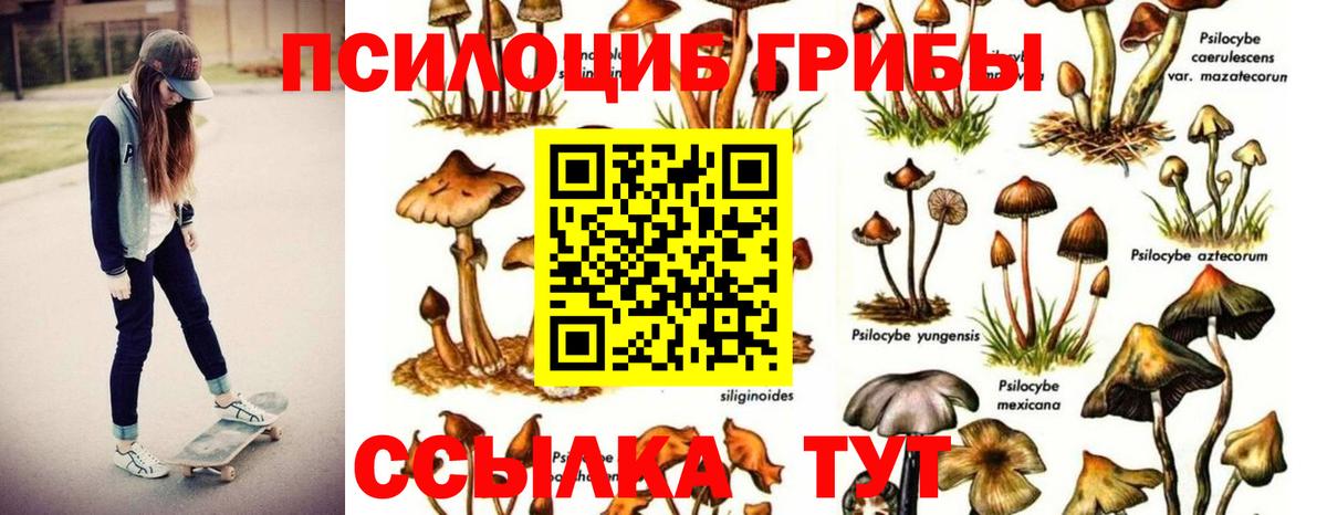 Галлюциногенные грибы ЛСД Балаково